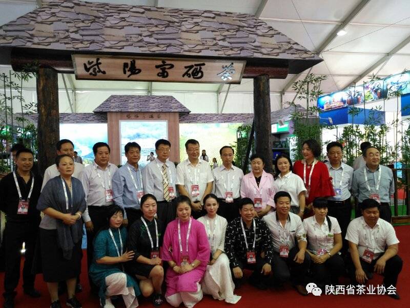 安康紫阳富硒茶宣传片（安康富硒茶怎么样）-硒宝网