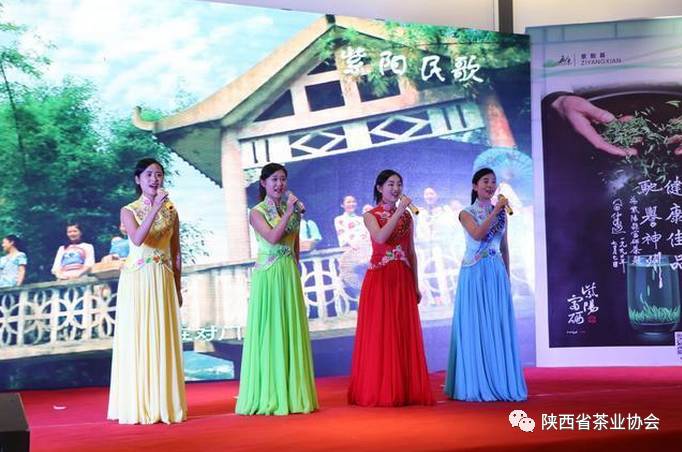 安康紫阳富硒茶宣传片（安康富硒茶怎么样）-硒宝网