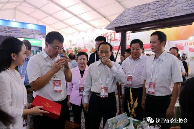 安康紫阳富硒茶宣传片（安康富硒茶怎么样）-硒宝网