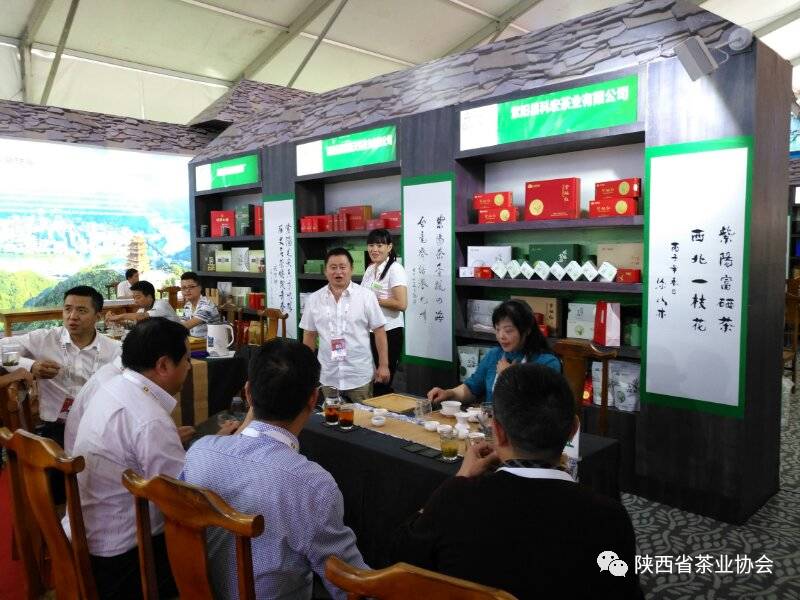 安康紫阳富硒茶宣传片（安康富硒茶怎么样）-硒宝网