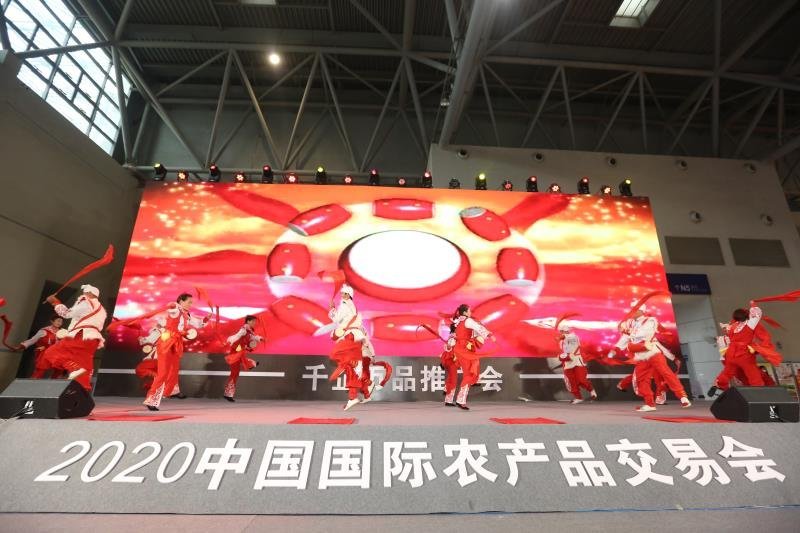 安康富硒茶推介会新闻（安康富硒茶多少钱一斤汗水晨雾）-硒宝网