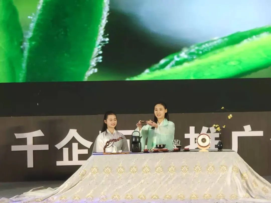 安康富硒茶推介会新闻（安康富硒茶多少钱一斤汗水晨雾）-硒宝网