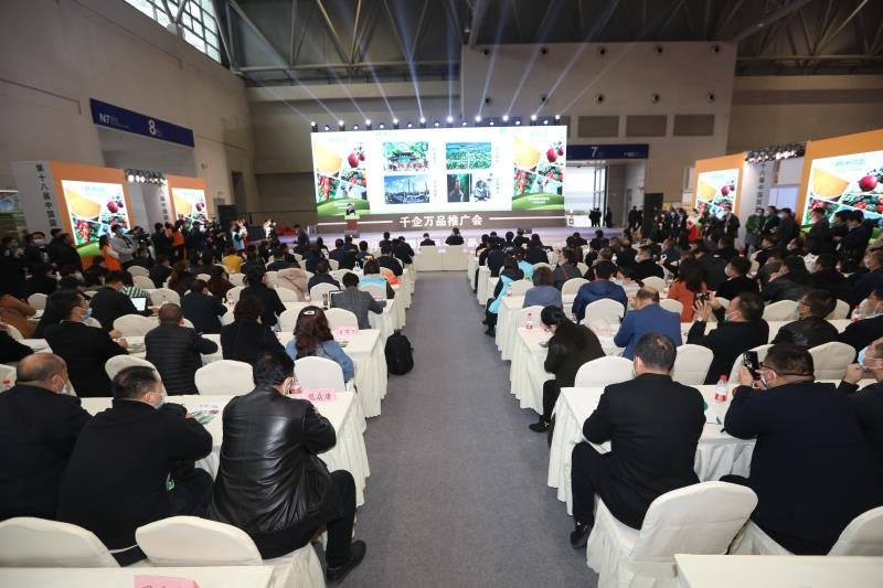 安康富硒茶推介会新闻（安康富硒茶多少钱一斤汗水晨雾）-硒宝网