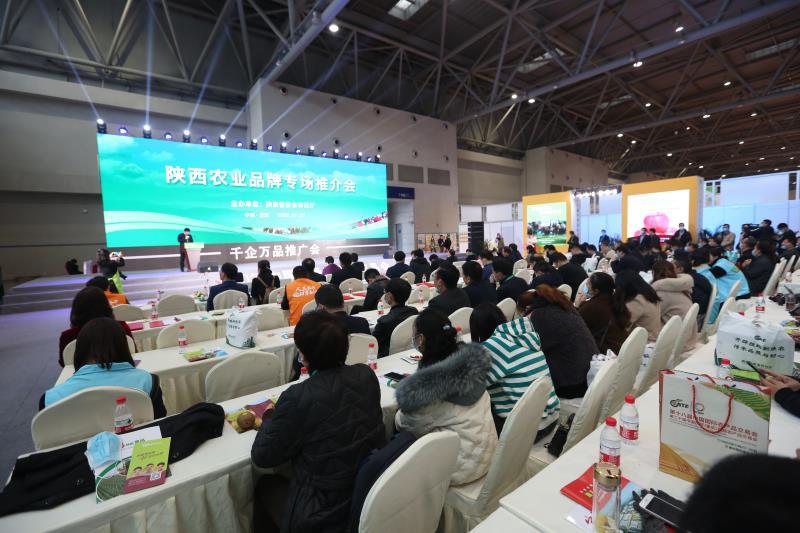 安康富硒茶推介会新闻（安康富硒茶多少钱一斤汗水晨雾）-硒宝网