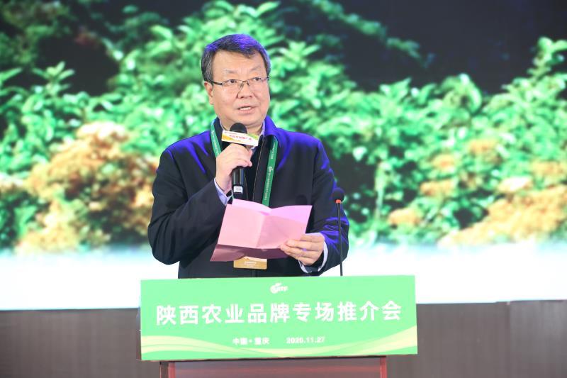 安康富硒茶推介会新闻（安康富硒茶多少钱一斤汗水晨雾）-硒宝网