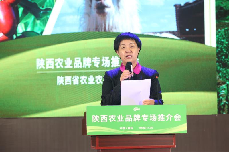 安康富硒茶推介会新闻（安康富硒茶多少钱一斤汗水晨雾）-硒宝网