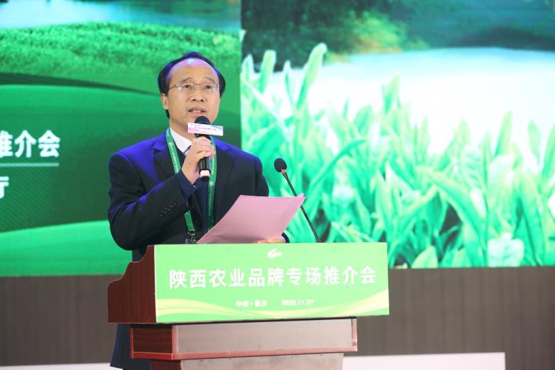 安康富硒茶推介会新闻（安康富硒茶多少钱一斤汗水晨雾）-硒宝网