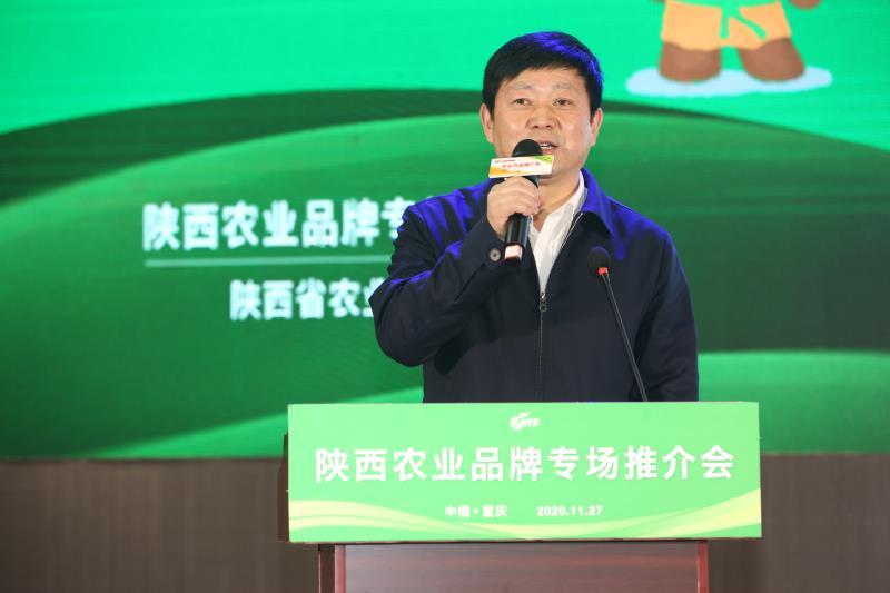 安康富硒茶推介会新闻（安康富硒茶多少钱一斤汗水晨雾）-硒宝网