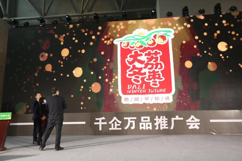 安康富硒茶推介会新闻（安康富硒茶多少钱一斤汗水晨雾）-硒宝网