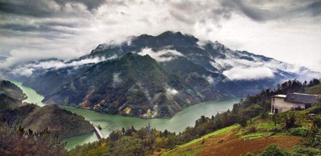 高坪富硒茶有什么功效（富硒茶叶的功效）-硒宝网