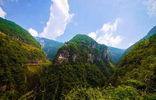 高坪富硒茶有什么功效（富硒茶叶的功效）-硒宝网