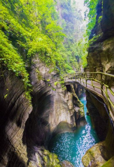 高坪富硒茶有什么功效（富硒茶叶的功效）-硒宝网