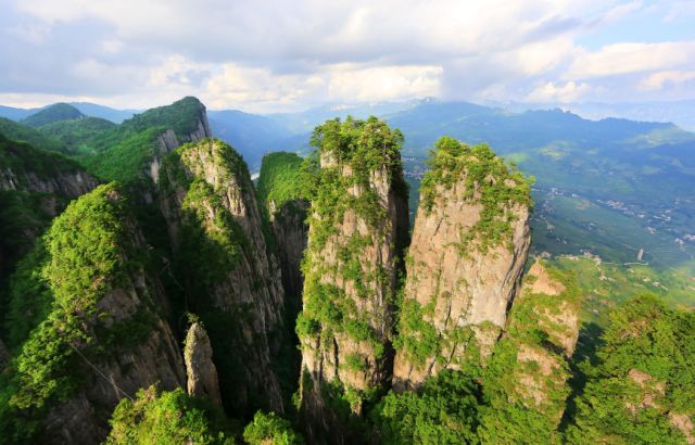 高坪富硒茶有什么功效（富硒茶叶的功效）-硒宝网