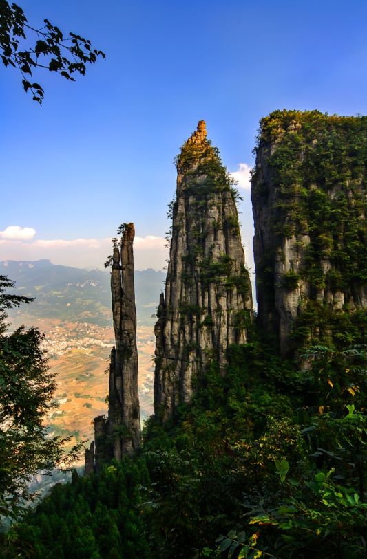 高坪富硒茶有什么功效（富硒茶叶的功效）-硒宝网