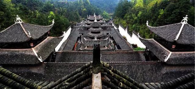 高坪富硒茶有什么功效（富硒茶叶的功效）-硒宝网