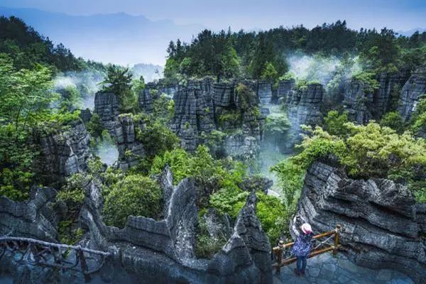 高坪富硒茶有什么功效（富硒茶叶的功效）-硒宝网