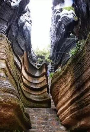 高坪富硒茶有什么功效（富硒茶叶的功效）-硒宝网