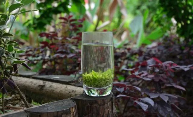 高坪富硒茶有什么功效（富硒茶叶的功效）-硒宝网