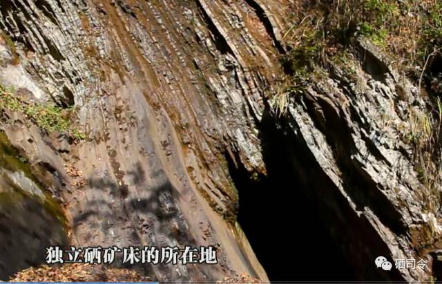 高坪富硒茶有什么功效（富硒茶叶的功效）-硒宝网