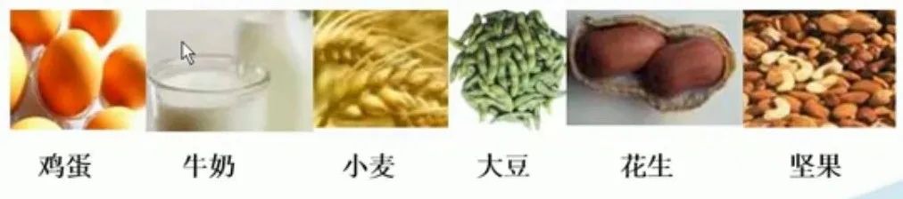 查微量元素需要多久出结果（查微量元素结果出需要空腹吗）-硒宝网