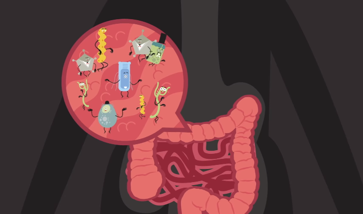 查微量元素需要多久出结果（查微量元素结果出需要空腹吗）-硒宝网