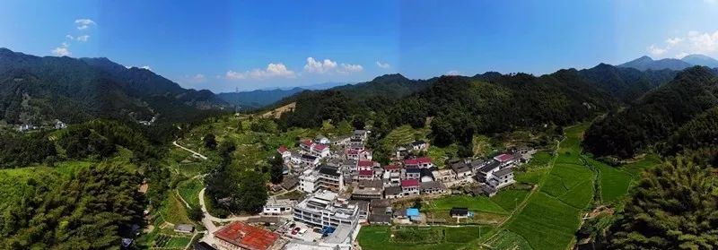 石台富硒茶在哪卖的好(石台富硒茶的功效与作用)-硒宝网