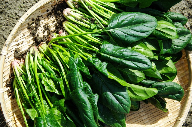 什么补钙好（补钙好的食物有哪些）-硒宝网