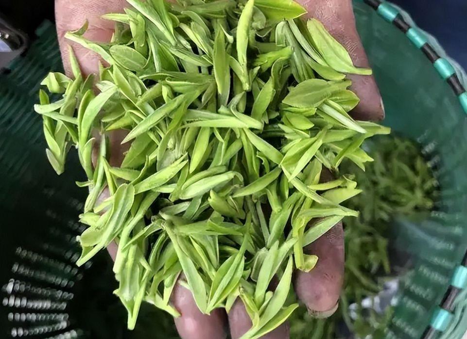 恩施富硒茶品牌排行榜（恩施富硒茶市场定位分析）-硒宝网