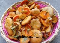 雷公山富硒清明茶字体(雷公山清明茶特级价格礼盒)-硒宝网