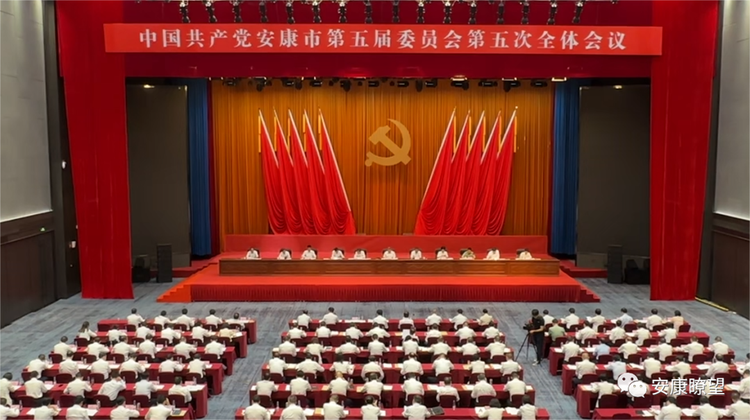 紫阳富硒茶小镇怎么样(紫阳富硒茶价格表)-硒宝网