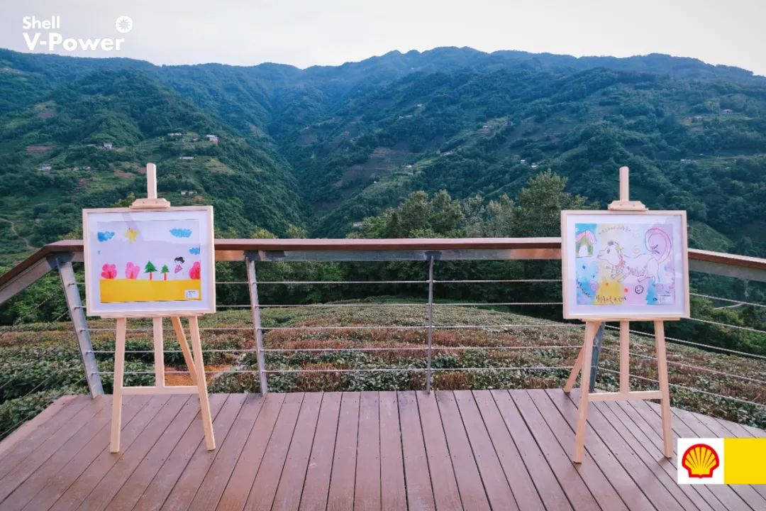 紫阳富硒茶的制作方法(紫阳富硒茶的冲泡方法)-硒宝网