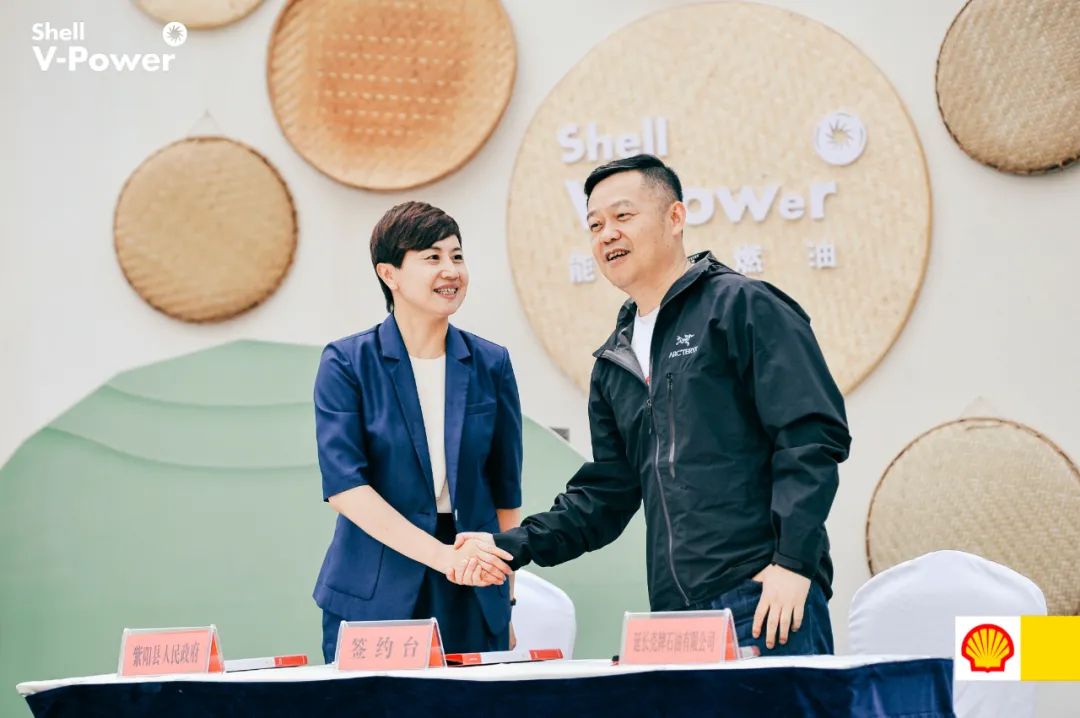 紫阳富硒茶的制作方法(紫阳富硒茶的冲泡方法)-硒宝网