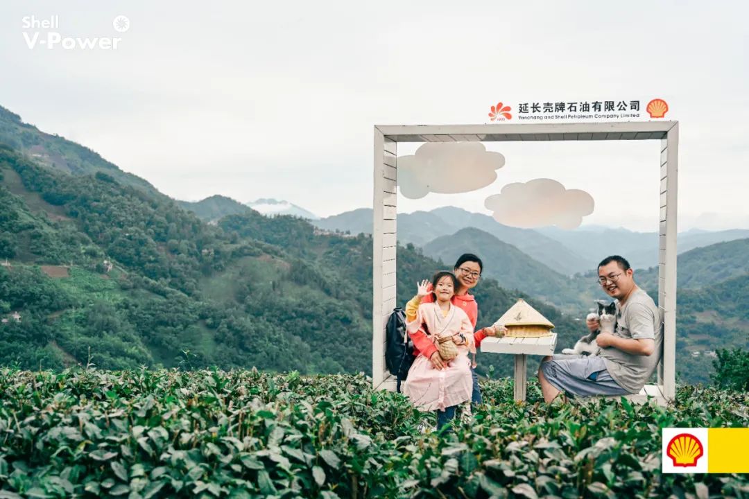 紫阳富硒茶的制作方法(紫阳富硒茶的冲泡方法)-硒宝网