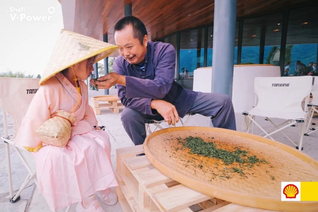 紫阳富硒茶的制作方法(紫阳富硒茶的冲泡方法)-硒宝网