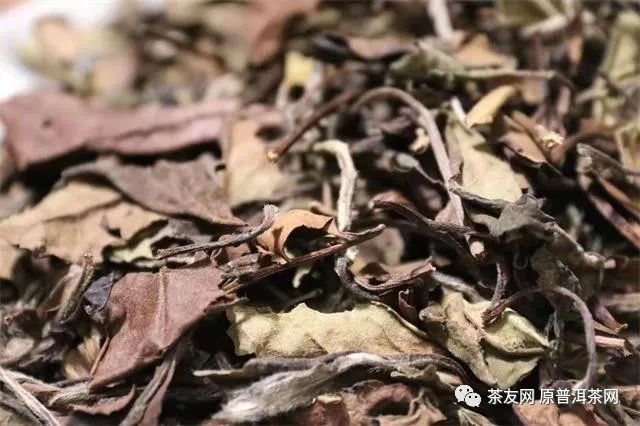 紫阳富硒茶的制作方法(紫阳富硒茶的制作过程)-硒宝网