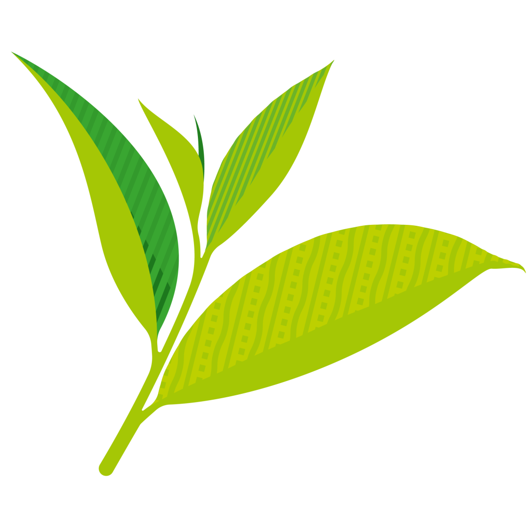 汉中仙毫与安康富硒茶（陕西省汉中仙毫茶叶价格表）-硒宝网