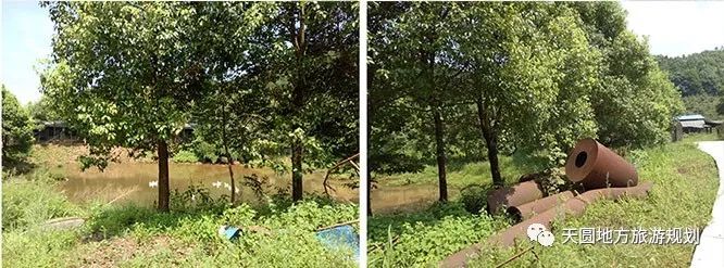 富硒茶基地在什么地方(富硒茶园)-硒宝网