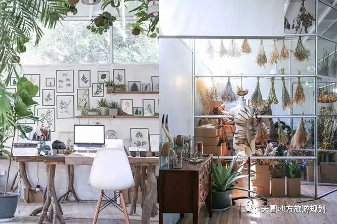 富硒茶基地在什么地方(富硒茶园)-硒宝网