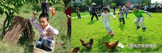 富硒茶基地在什么地方(富硒茶园)-硒宝网