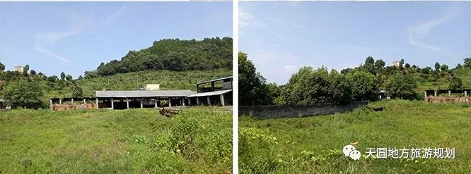 富硒茶基地在什么地方(富硒茶园)-硒宝网