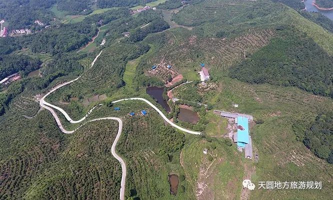 富硒茶基地在什么地方(富硒茶园)-硒宝网