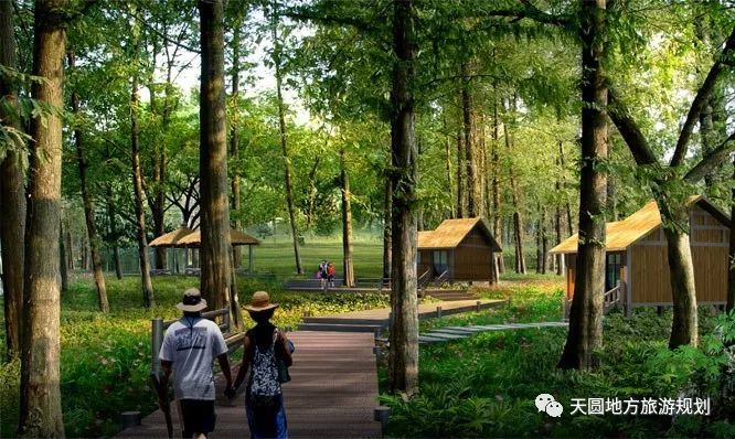 富硒茶基地在什么地方(富硒茶园)-硒宝网