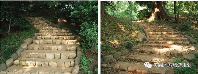 富硒茶基地在什么地方(富硒茶园)-硒宝网