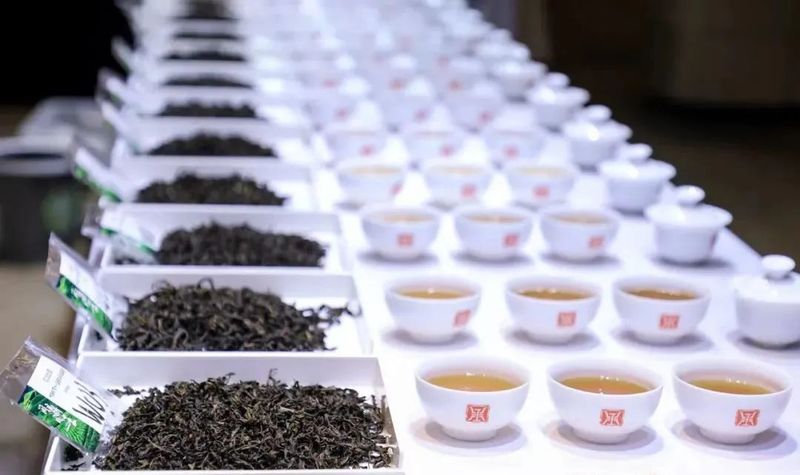 高质量富硒茶玉露企业(玉露茶主销)-硒宝网