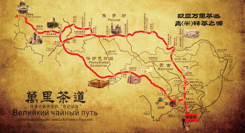 高质量富硒茶玉露企业(玉露茶主销)-硒宝网