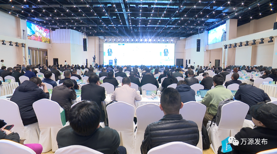 富硒茶是由什么制成的（茶叶富硒）-硒宝网