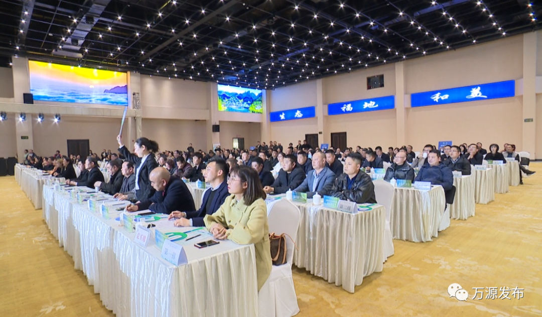 富硒茶是由什么制成的（茶叶富硒）-硒宝网