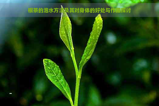 什么是富硒藤茶的功效(富硒藤茶的副作用)-硒宝网