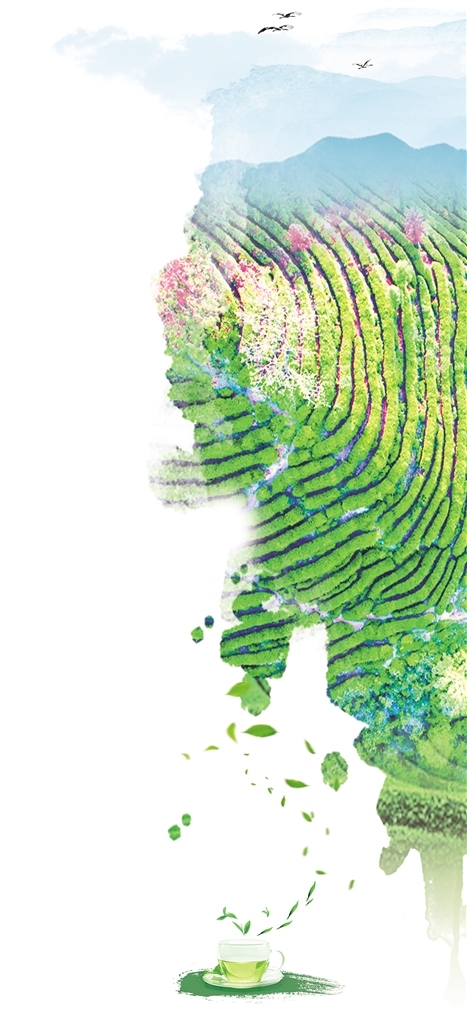 富硒茶产业链项目介绍（广州链茶茶业有限公司）-硒宝网