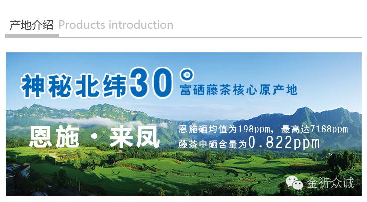 喝富硒藤茶有什么反应(喝富硒茶身体有什么反应)-硒宝网